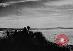 Immagine di Oche selvatiche Tule Lake California USA, 1933, secondo 41 filmato di repertorio 65675049751