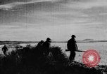 Immagine di Oche selvatiche Tule Lake California USA, 1933, secondo 42 filmato di repertorio 65675049751