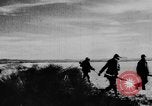 Immagine di Oche selvatiche Tule Lake California USA, 1933, secondo 43 filmato di repertorio 65675049751