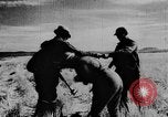 Immagine di Oche selvatiche Tule Lake California USA, 1933, secondo 44 filmato di repertorio 65675049751