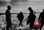 Immagine di Oche selvatiche Tule Lake California USA, 1933, secondo 47 filmato di repertorio 65675049751