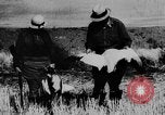 Immagine di Oche selvatiche Tule Lake California USA, 1933, secondo 51 filmato di repertorio 65675049751
