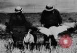Immagine di Oche selvatiche Tule Lake California USA, 1933, secondo 52 filmato di repertorio 65675049751