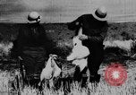 Immagine di Oche selvatiche Tule Lake California USA, 1933, secondo 53 filmato di repertorio 65675049751