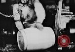Immagine di Festeggiamenti dopo il divieto è abrogato United States USA, 1933, secondo 37 filmato di repertorio 65675049755