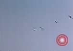 Standbild USA P-47 Flugzeuge Deutschland, 1945, aus Sekunde 3 historischem Filmmaterial Videoclip 65675049771