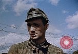 Image prisonnier allemand Allemagne, 1945, de la seconde 25 séquences d'archives historiques vidéo 65675049773