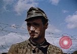 Image prisonnier allemand Allemagne, 1945, de la seconde 27 séquences d'archives historiques vidéo 65675049773