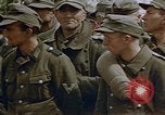 Image prisonnier allemand Allemagne, 1945, de la seconde 39 séquences d'archives historiques vidéo 65675049773