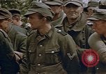 Image prisonnier allemand Allemagne, 1945, de la seconde 41 séquences d'archives historiques vidéo 65675049773