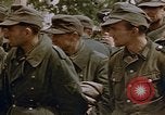 Image prisonnier allemand Allemagne, 1945, de la seconde 44 séquences d'archives historiques vidéo 65675049773