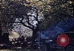 Image of US Army encampment Gramastetten Austria, 1945, second 27 stock footage video 65675049784