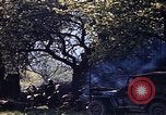 Image of US Army encampment Gramastetten Austria, 1945, second 28 stock footage video 65675049784