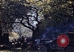 Image of US Army encampment Gramastetten Austria, 1945, second 29 stock footage video 65675049784