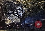 Image of US Army encampment Gramastetten Austria, 1945, second 31 stock footage video 65675049784