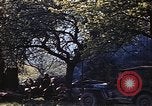 Image of US Army encampment Gramastetten Austria, 1945, second 36 stock footage video 65675049784