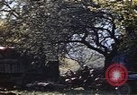 Image of US Army encampment Gramastetten Austria, 1945, second 38 stock footage video 65675049784