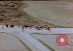 Image of German prisoners Wiesbaden Germany, 1945, second 30 stock footage video 65675049789