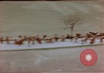 Image of German prisoners Wiesbaden Germany, 1945, second 31 stock footage video 65675049789