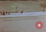 Image of German prisoners Wiesbaden Germany, 1945, second 32 stock footage video 65675049789