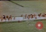 Image of German prisoners Wiesbaden Germany, 1945, second 35 stock footage video 65675049789