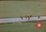 Image of German prisoners Wiesbaden Germany, 1945, second 36 stock footage video 65675049789