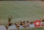 Image of German prisoners Wiesbaden Germany, 1945, second 41 stock footage video 65675049789