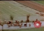 Image of German prisoners Wiesbaden Germany, 1945, second 42 stock footage video 65675049789
