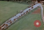 Image of German prisoners Wiesbaden Germany, 1945, second 53 stock footage video 65675049789