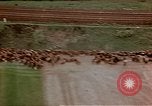 Image of German prisoners Wiesbaden Germany, 1945, second 60 stock footage video 65675049789