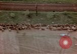 Image of German prisoners Wiesbaden Germany, 1945, second 61 stock footage video 65675049789