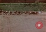 Image of German prisoners Wiesbaden Germany, 1945, second 62 stock footage video 65675049789