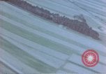 Image of trees Europe, 1945, second 3 stock footage video 65675049791