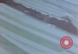 Image of trees Europe, 1945, second 4 stock footage video 65675049791