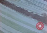 Image of trees Europe, 1945, second 5 stock footage video 65675049791