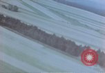Image of trees Europe, 1945, second 6 stock footage video 65675049791