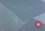 Image of trees Europe, 1945, second 8 stock footage video 65675049791
