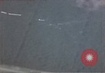Image of trees Europe, 1945, second 12 stock footage video 65675049791