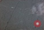 Image of trees Europe, 1945, second 13 stock footage video 65675049791