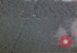 Image of trees Europe, 1945, second 14 stock footage video 65675049791