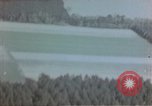 Image of trees Europe, 1945, second 15 stock footage video 65675049791
