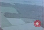 Image of trees Europe, 1945, second 16 stock footage video 65675049791