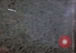 Image of trees Europe, 1945, second 20 stock footage video 65675049791