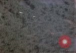 Image of trees Europe, 1945, second 22 stock footage video 65675049791