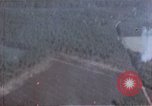 Image of trees Europe, 1945, second 24 stock footage video 65675049791
