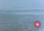 Image of trees Europe, 1945, second 25 stock footage video 65675049791