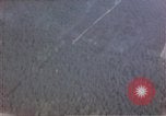 Image of trees Europe, 1945, second 29 stock footage video 65675049791