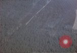 Image of trees Europe, 1945, second 30 stock footage video 65675049791