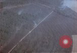 Image of trees Europe, 1945, second 32 stock footage video 65675049791