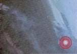 Image of trees Europe, 1945, second 36 stock footage video 65675049791